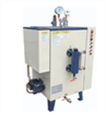 Elektrinis garų generatorius